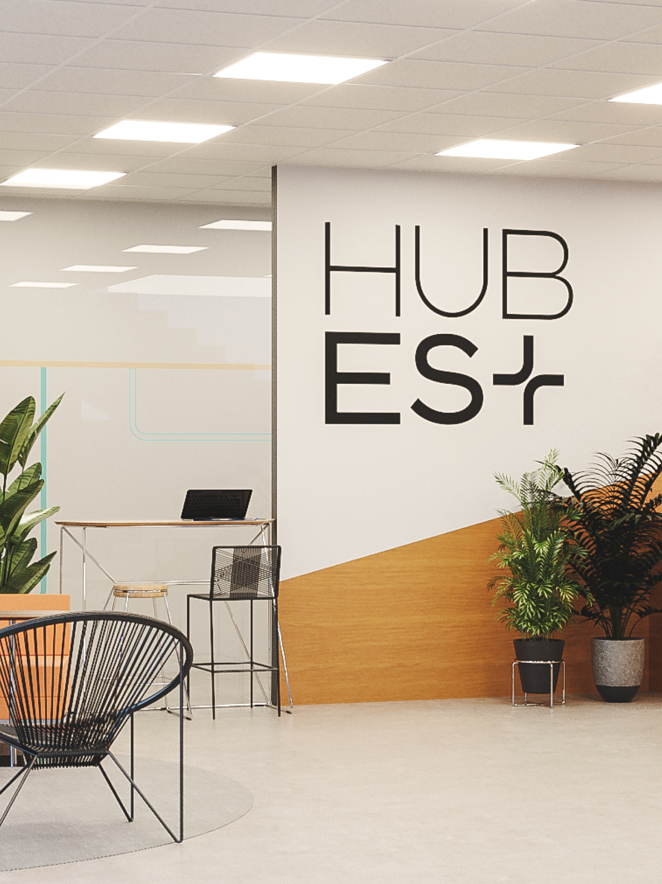 Hub ES+